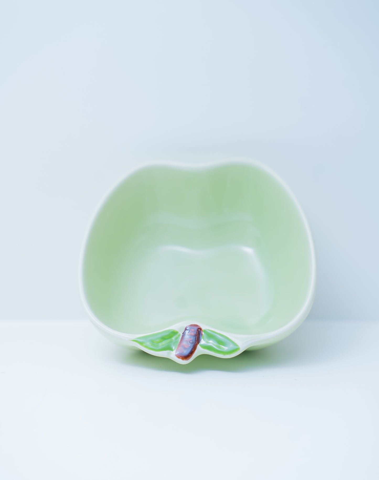 Guinea Pig Water Bowl