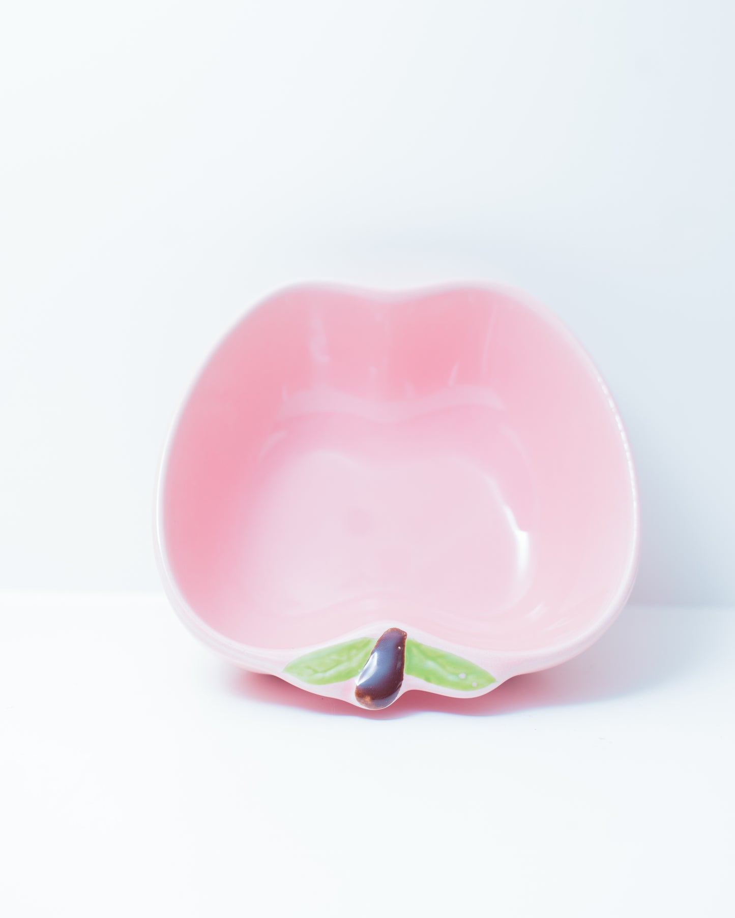 Guinea Pig Water Bowl